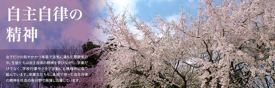 九州酷游app下载入口全站登录